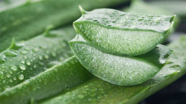 Come dimagrire con l’Aloe vera